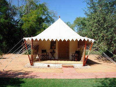 Lavish Nights Of Wildlife At Ranthambore Rajasthan Tour