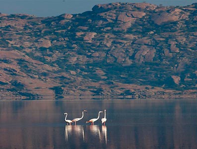 Explore The Hidden Secrets Of Unexplored Jawai Rajasthan Tour