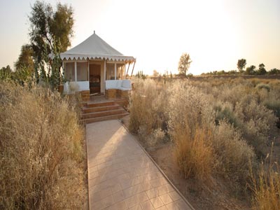 Luxurious Wild Experience Of Thrilling Jaisalmer Rajasthan Tour