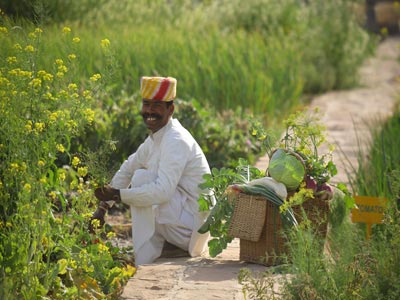 Luxurious Wild Experience Of Thrilling Jaisalmer Rajasthan Tour