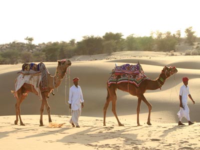 Luxurious Wild Experience Of Thrilling Jaisalmer Rajasthan Tour