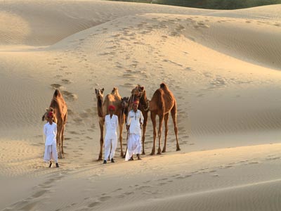 Luxurious Wild Experience Of Thrilling Jaisalmer Rajasthan Tour