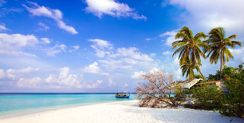 Tour Of Port Blair With Jolly Buoy Island Neil Island And Baratang Island For Couple