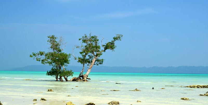 Tour Of Port Blair With Jolly Buoy Island Neil Island And Baratang Island For Couple