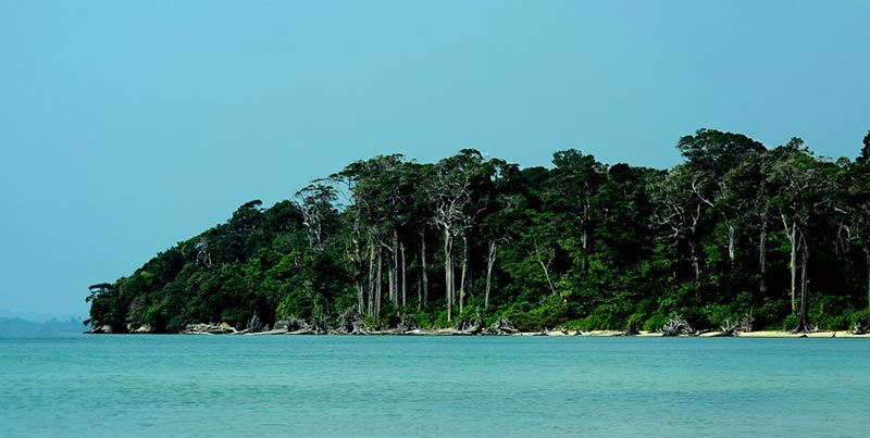 Tour Package Of Port Blair With Visit To Neil Island For Couple