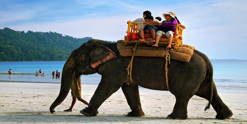 Premium Budget Tour Package Of Port Blair With Jolly Buoy Island For Couple