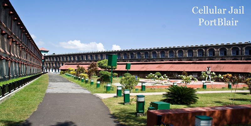 Premium Budget Tour Package Of Port Blair With Jolly Buoy Island For Couple