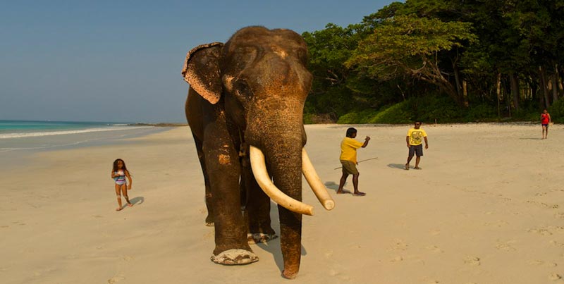 Best Tour Trip Of Andaman & Nicobar Budget Package For Couple