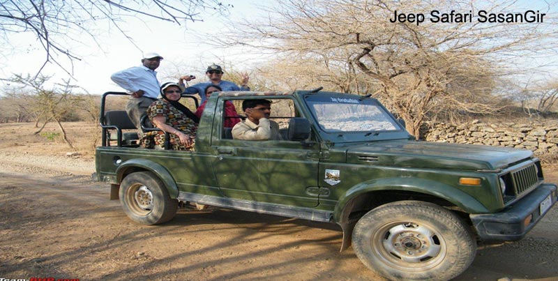 Top Couple Wildlife Trip Of Sasangir With Blissful Diu Beach Of Gujarat