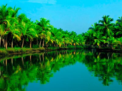 Beautiful Beach Package Of Kerala Kovalam And Alleppey
