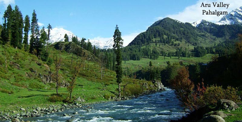 Kashmir Trip With Patnitop Tour