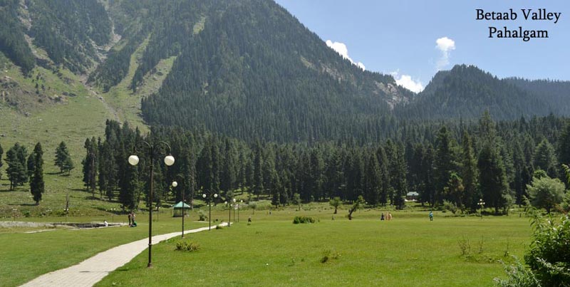 Kashmir Trip With Patnitop Tour