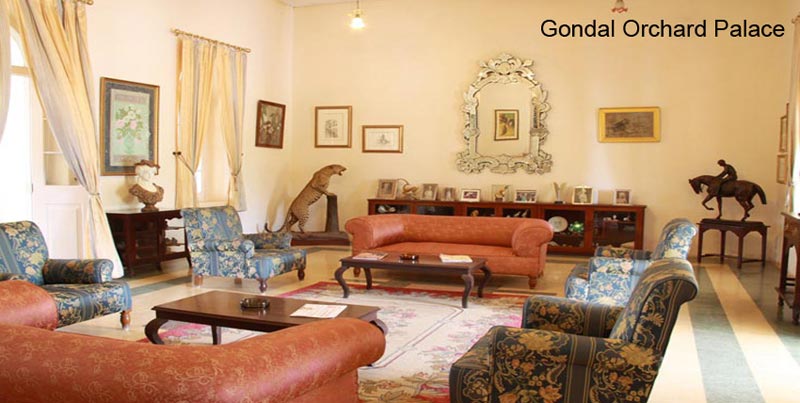 Best Budget Textile Package Tour Of Gujrat With Bhuj And Little Rann Of Kutch