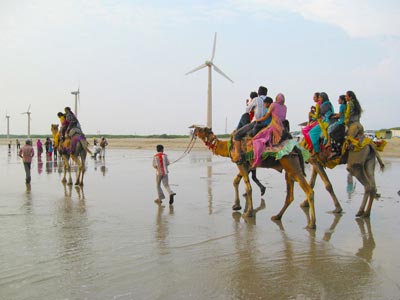 Best Of Gujarat Tour With Wild Life Of Gir And Temples Of Somnath