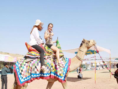 Best Of Gujarat Tour With Wild Life Of Gir And Temples Of Somnath