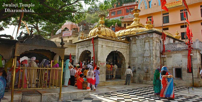 Shimla Manali Dharamshala Dalhousie Tour Package With Golden Temple And Chandigarh For Couple