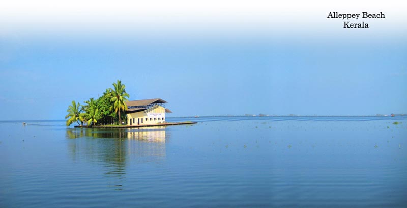 Kerala Backwater Couple Tour Package Of Thekkady And Alleppey