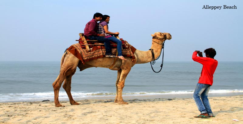 Kerala Backwater Couple Tour Package Of Thekkady And Alleppey