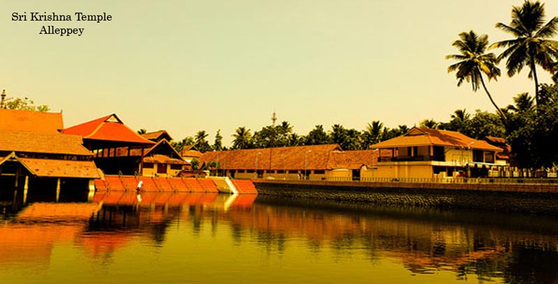 Kerala Backwater Couple Tour Package Of Thekkady And Alleppey