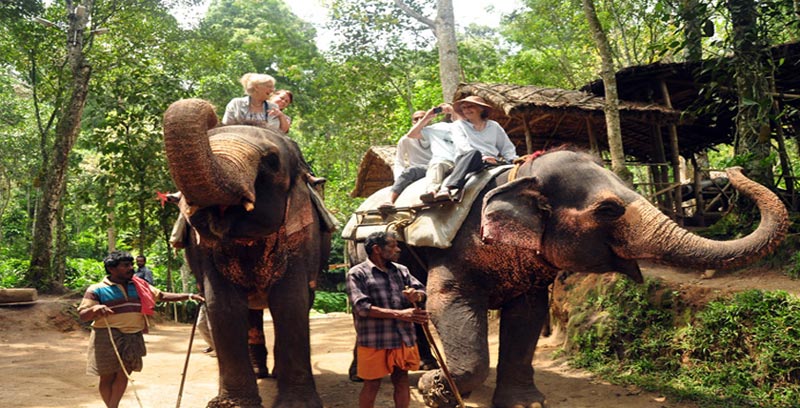 Kerala Backwater Couple Tour Package Of Thekkady And Alleppey