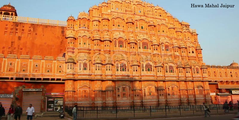 Captivating Wildlife Holiday Trip Of Ranthambore With Pink City Jaipur Rajasthan Package