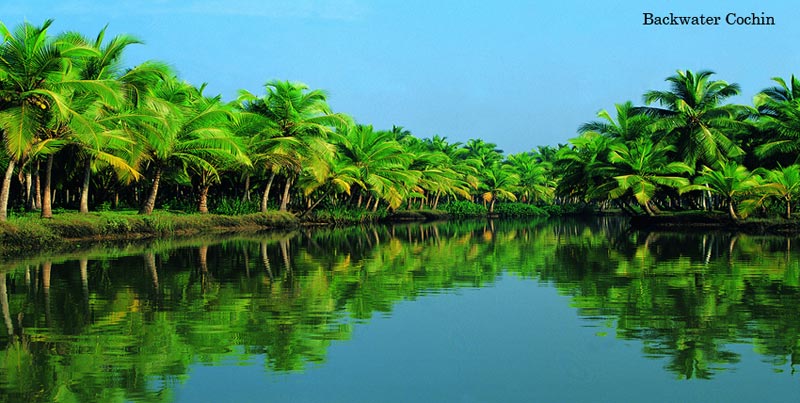 Lovely Tour Package of Cochin With Princess Of Hills Munnar