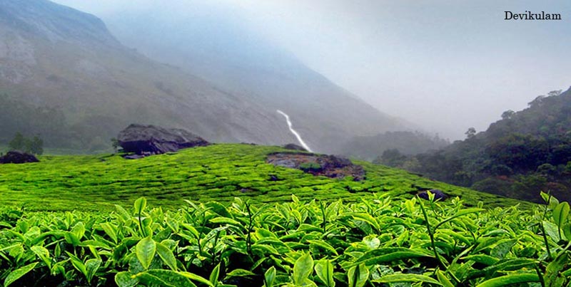 Lovely Tour Package of Cochin With Princess Of Hills Munnar