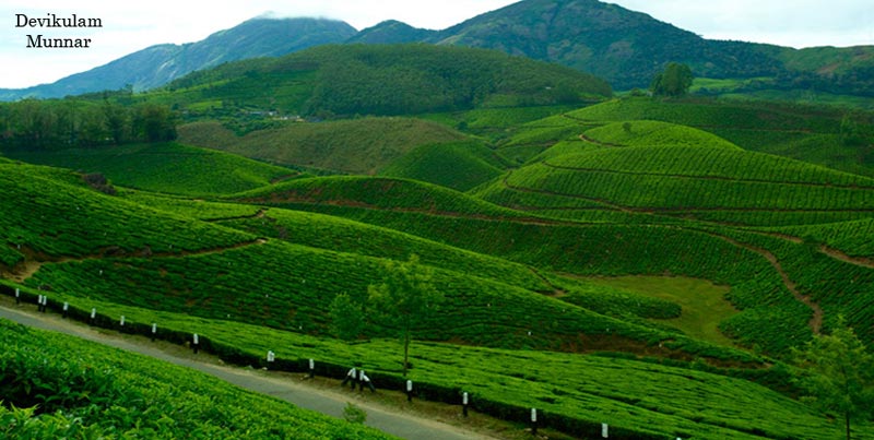 Lovely Tour Package of Cochin With Princess Of Hills Munnar