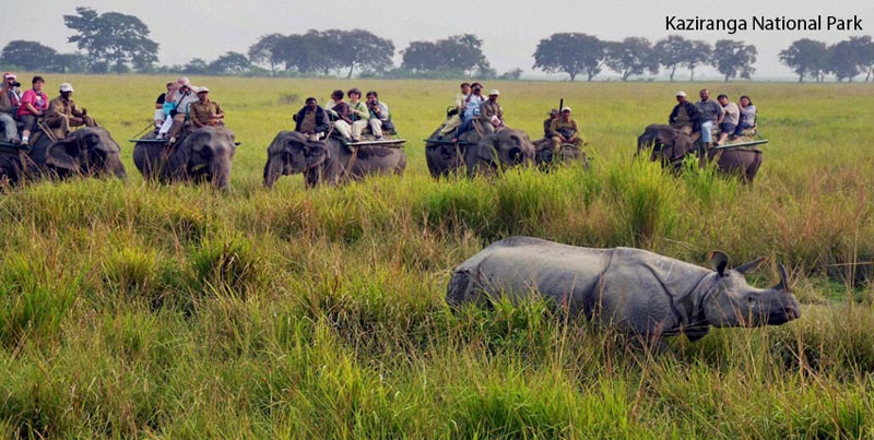 Best Deluxe Package Of North East For Shillong Cherrapunjee Kaziranga And Guwahati Tour