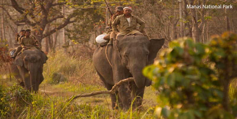Best Deluxe Package Of North East For Shillong Cherrapunjee Kaziranga And Guwahati Tour