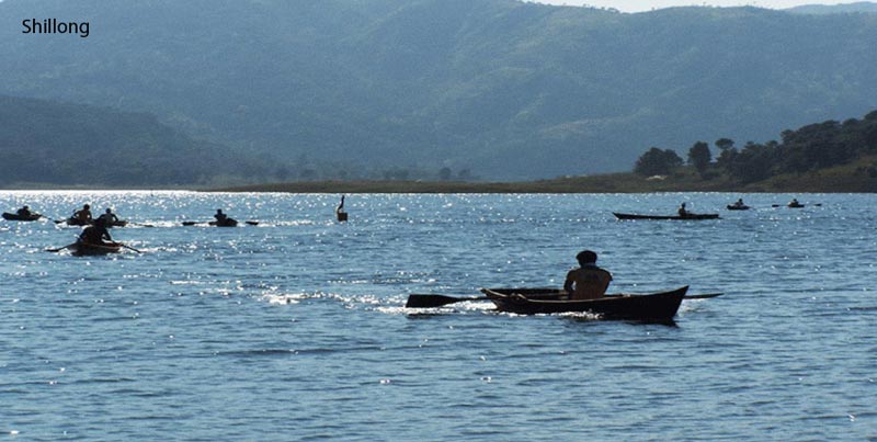 Best Of North East Package For Shillong Cherrapunjee Kaziranga With Guwahati