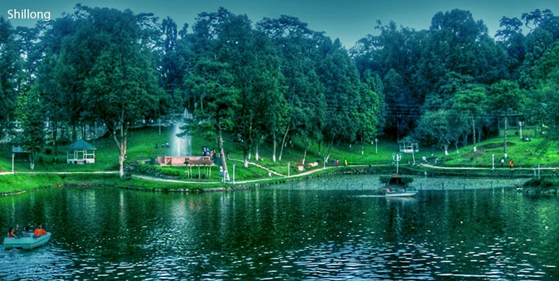 Best Of North East Package For Shillong Cherrapunjee Kaziranga With Guwahati