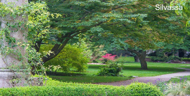 Best Couple Tour Package Of Daman Silvassa And Best Hill Station Of Gujarat Saputara