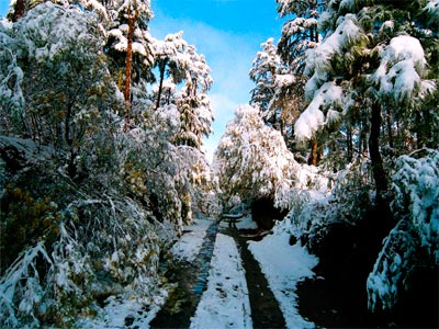 Sparkling Nainital With Untouched Beauty Of Binsar Uttarakhand Trip Package