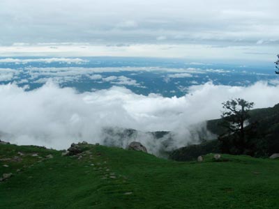 Divine Amritsar Punjab Tour With Charming Dharamsala