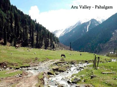 Beautiful Kashmir Srinagar With Pahalgam Gulmarg And Sonmarg Tour