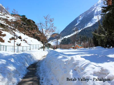 Beautiful Kashmir Srinagar With Pahalgam Gulmarg And Sonmarg Tour