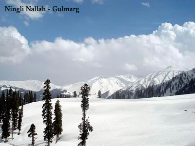 Beautiful Kashmir Srinagar With Pahalgam Gulmarg And Sonmarg Tour