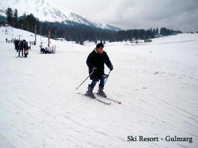 Beautiful Kashmir Srinagar With Pahalgam Gulmarg And Sonmarg Tour
