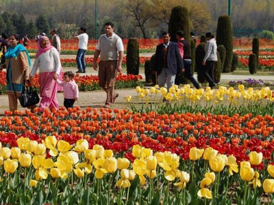 Appealing Kashmir Trip Srinagar With Gulmarg And Pahalgam