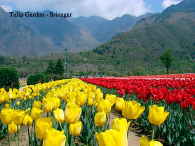 Appealing Kashmir Trip Srinagar With Gulmarg And Pahalgam
