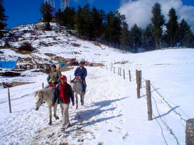 Striking Himalayan Tour Of Kasauli Rajgarh And Shimla
