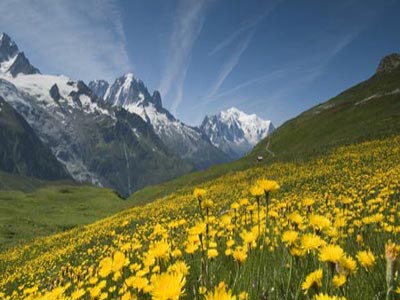 Beautiful Himalayan Foot hill Tour Of Kasauli And Rajgarh