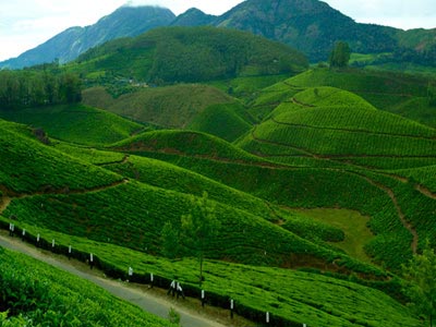 Munnar Kashmir Of South India With Amazing Alleppey