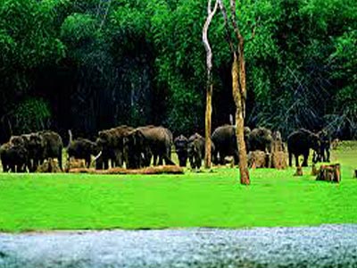 Munnar Kashmir Of South India With Amazing Alleppey