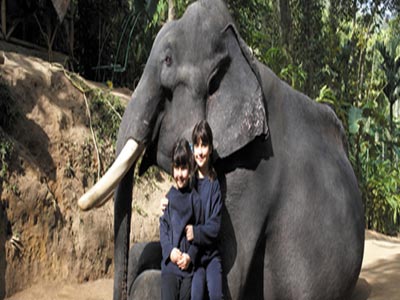 Amazing Mini Kerala Tour Of Cochin Munnar And Thekkady