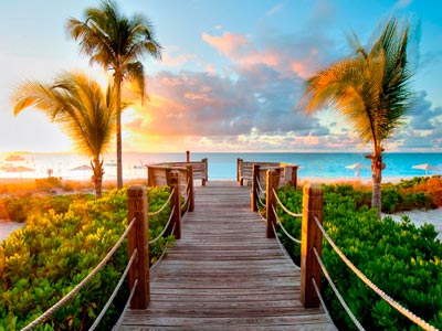 Amazing Mini Kerala Tour Of Cochin Munnar And Thekkady