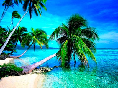 Amazing Mini Kerala Tour Of Cochin Munnar And Thekkady