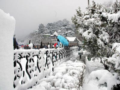 Cool Shimla With Enjoyable Chail Himachal Pradesh Tour
