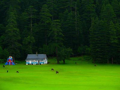 Rejuvenate In Himachal Pradesh Dharamshala Dalhousie